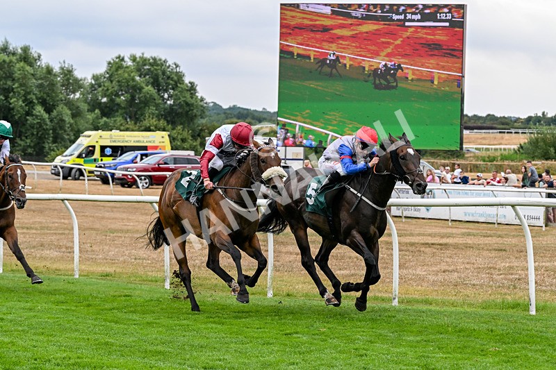 170826-Race 3-Quercus-9366 - Race 3 15.15pm Chapman Milestones Celebration, Thank You NHS Handicap