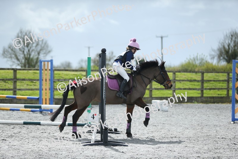 20260412-1763 - Show Jumping