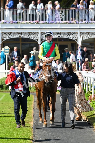 160525-Race 3-Kon Tiki-6495 - Race 3 3.13pm Sky Bet Fillies' Stakes