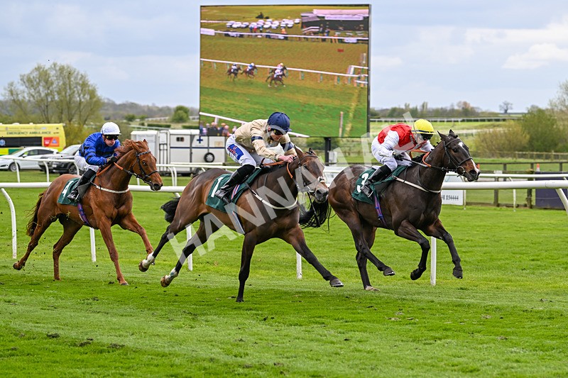 240424-Race 2-Restless Prince-7740 - Race 2