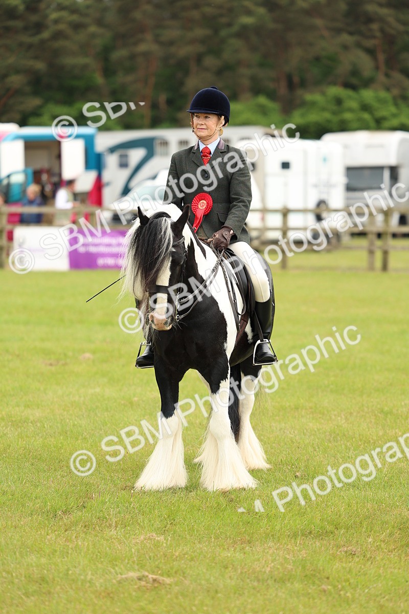 SBM_06285 - Class 39-41 TGCA In Hand and Ridden