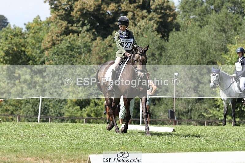 250823A-134830-31368 - Arena D