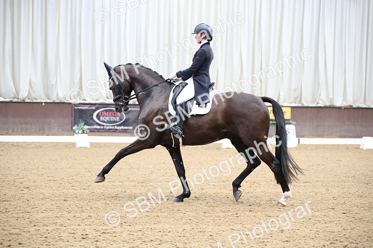 SBM_004504 - Class 9 - FEI Inter 1 Gold - 15.55-16.43