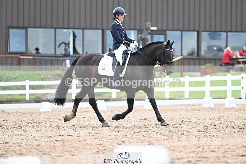 250907-124826-08445 - 005-Jessica.AllenHendrewen.Desert.Lady