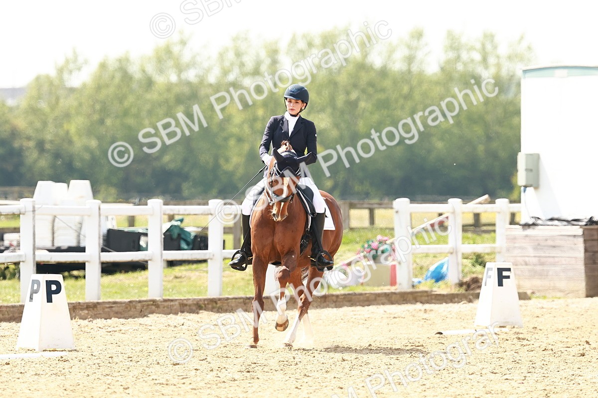 SBM_002947 - Class 13 - Medium 5