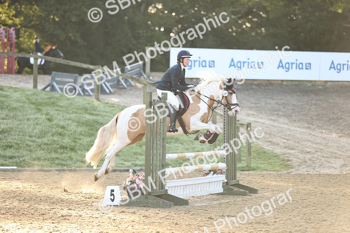 SBM_33033 - J38 - Senior 80cm Championship