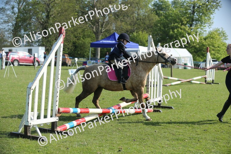 20250427-0881 - Class 1 - Mini Jumping Lead Rein or Assisted