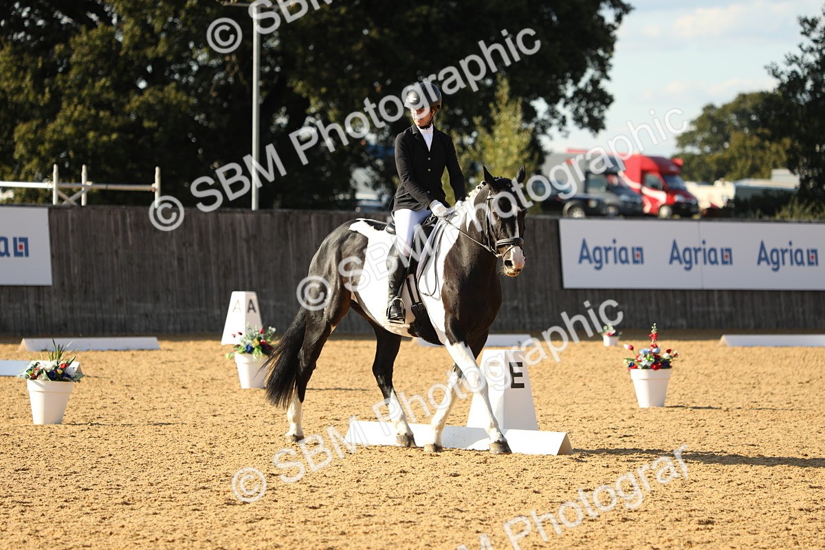 SBM_28522 - D20 - Grand Tour Championship - Elementary 44