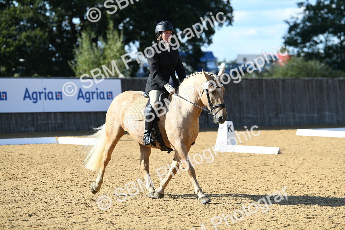 SBM_27240 - D16 - Small Tour Championship - Novice 28