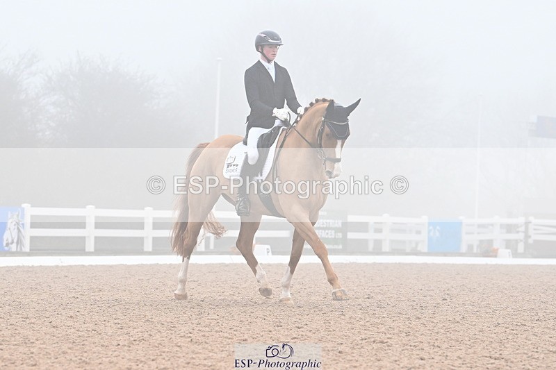 240217A-103253-01115 - 273-Tom.Carter-Newton.Dreamcatcher