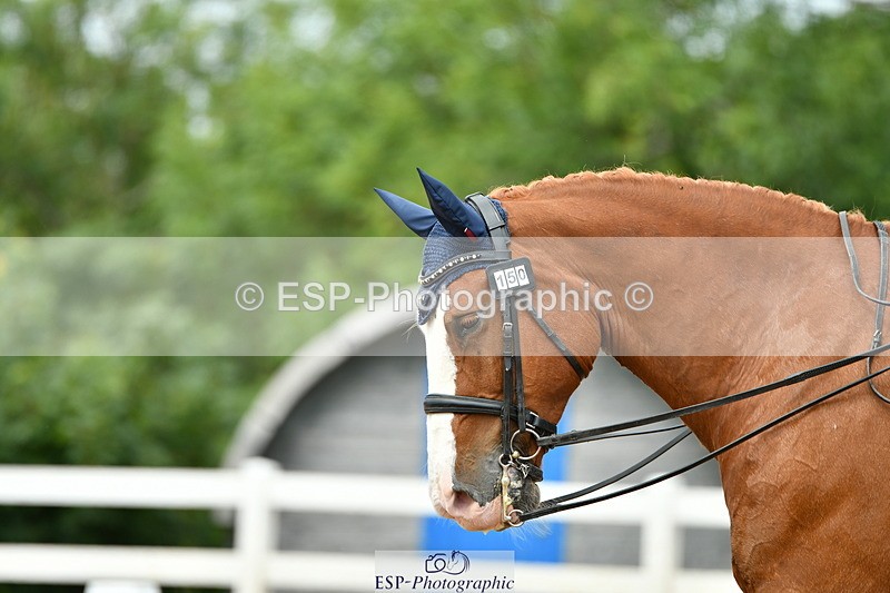 230702A-132443-09505 - Cls 29 Elementary 57