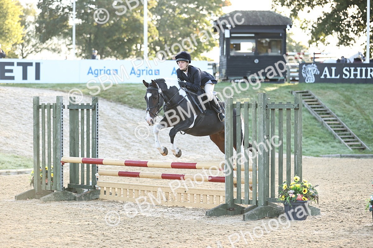SBM_32933 - J38 - Senior 80cm Championship
