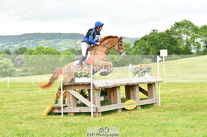 250524A-164337-14827 - C-273-Tim.Cheffings-HEARSAY.LARK.RISING