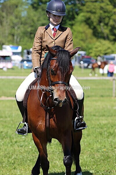 IMG_3931 - Working Hunter