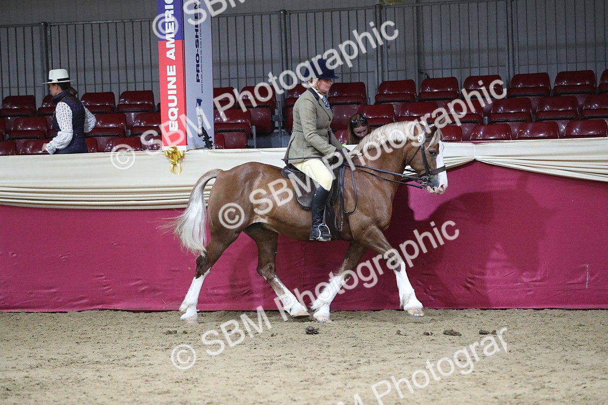 SBM_08499 - Class 11R Regional Ridden Veteran