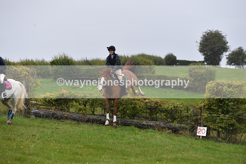 WJ5_6950 - Time 13:31 to 14:00