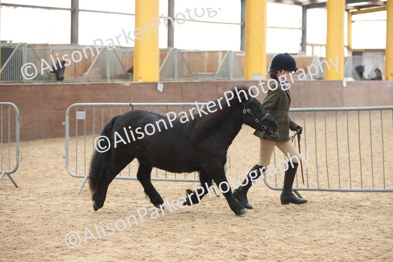 20251109-0149 - Class 8 - Young Handlers