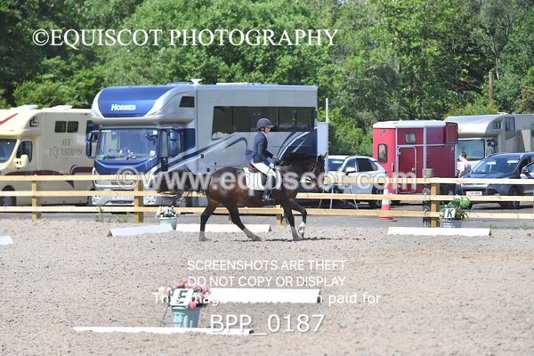 BPP_0187 - SHORT ARENA  MY QUEST PRELIM