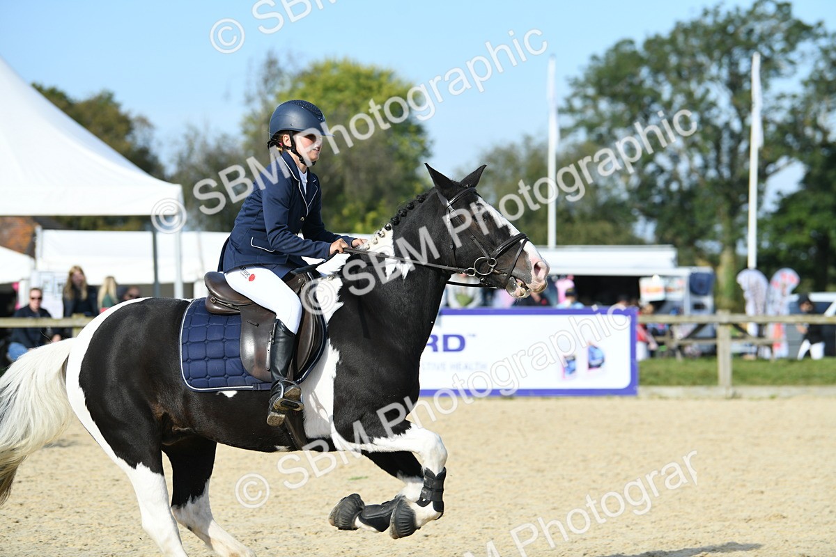 SBM_60620 - j25 - Junior Horse 80cm Championship