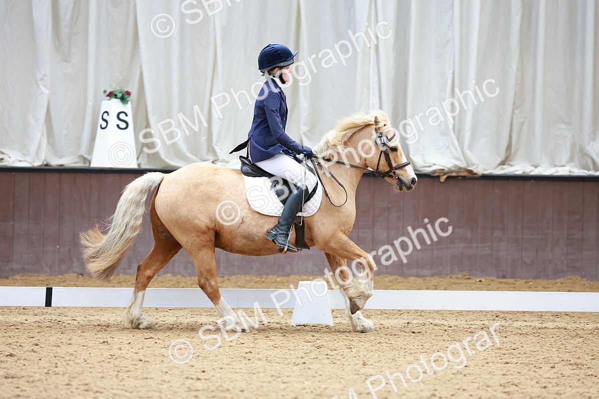 SBM_000576 - Class 4 - CT Prelim 3-70cm