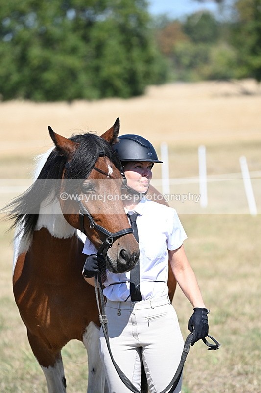 WJ6_8706 - Class 37b Best Loan Pony In-hand