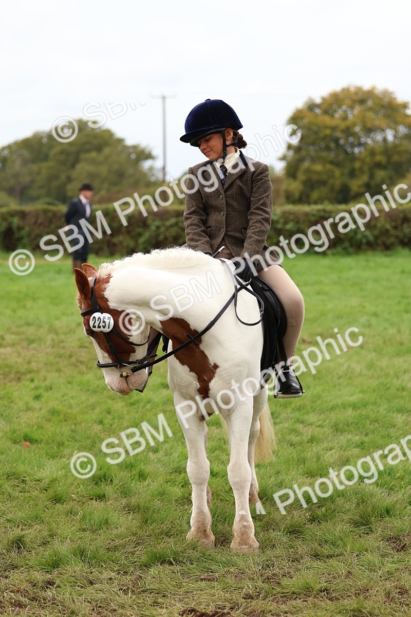 SBM_64569 - S58 - Coloured Pony Ridden