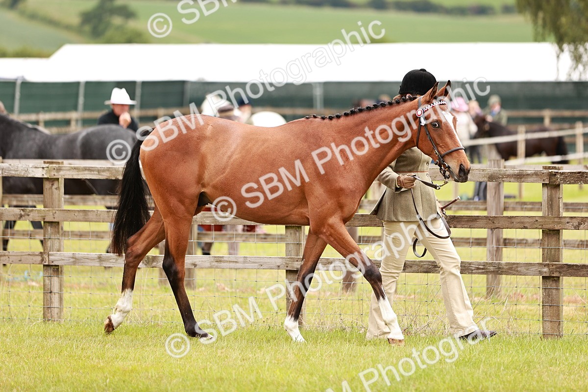 SBM_01702 - Class 31-34 Hack Breeding