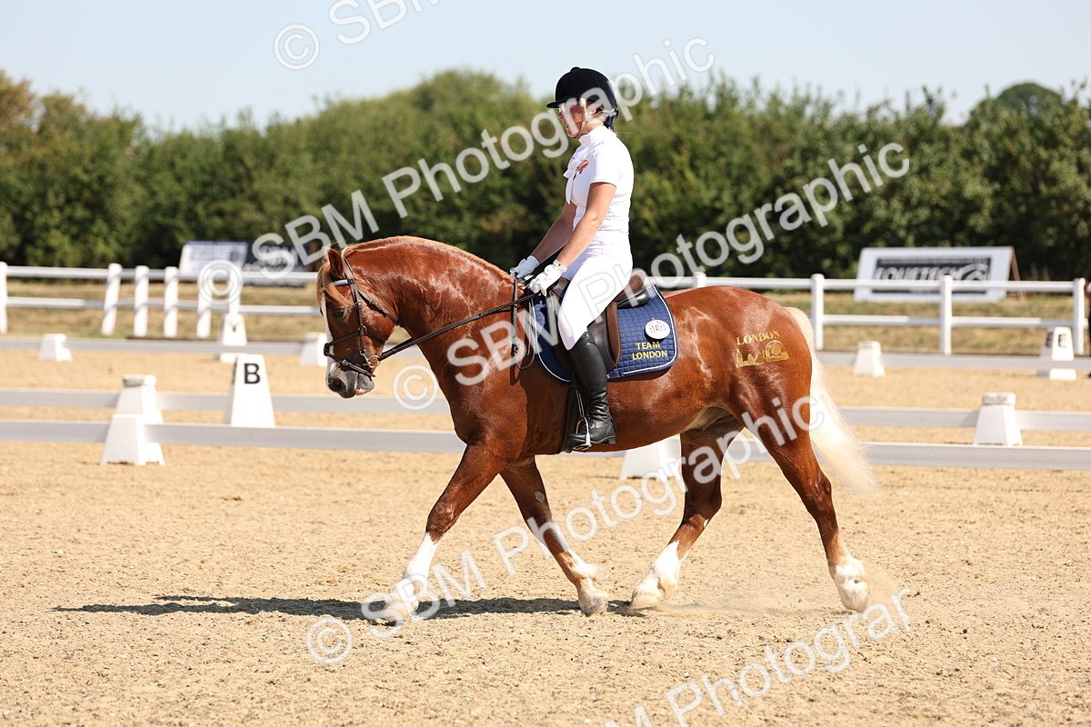 SBM_001085 - Intro 2