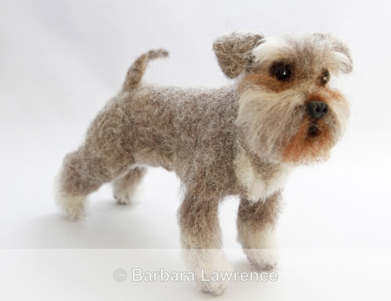 Schnauzer. Photo 1. - Gallery