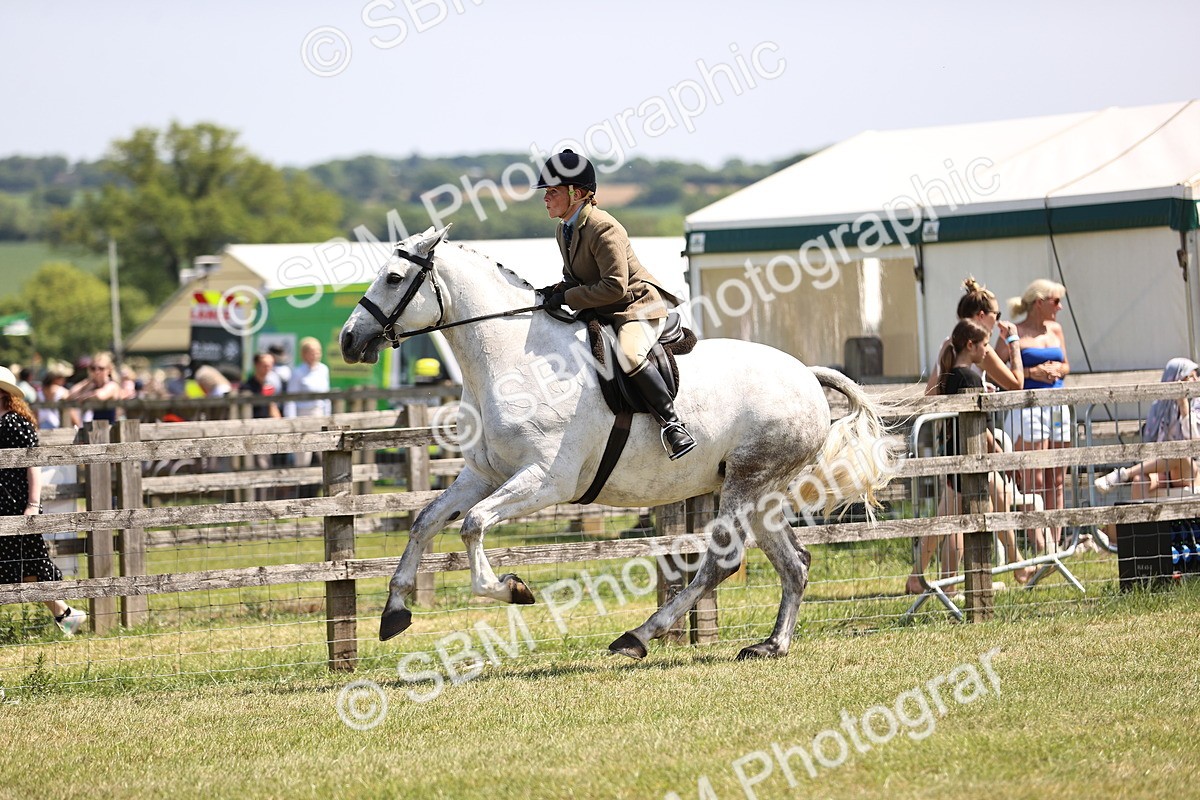 SBM_15115 - Class 79-80 - LIHS BSHA Rising Star Ridden Hunter