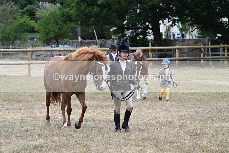 WJ7_8047 - Class 4 Prettiest Mare up to 14.2hh