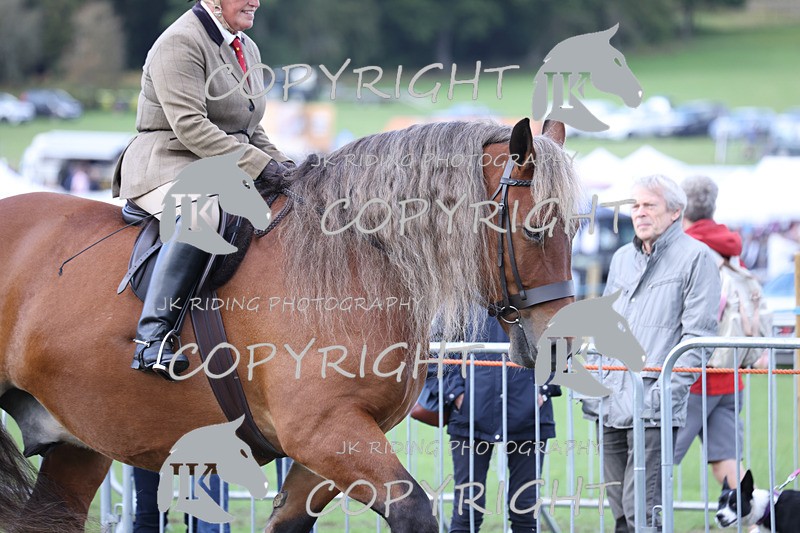 APP_3651 - Class 8 Ridden Class