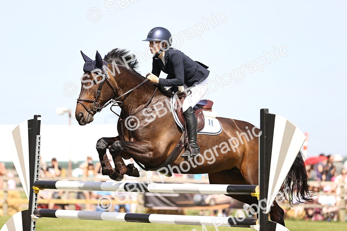 SBM_03134 - Class 201 - British Horse Feedds Speedi Beet HOYS Grade C