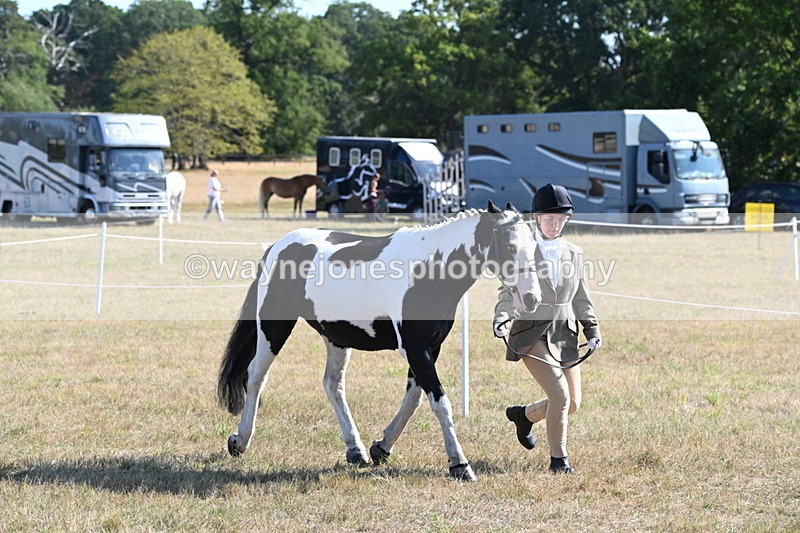 WJ6_7226 - Class 33 Rescue Pony