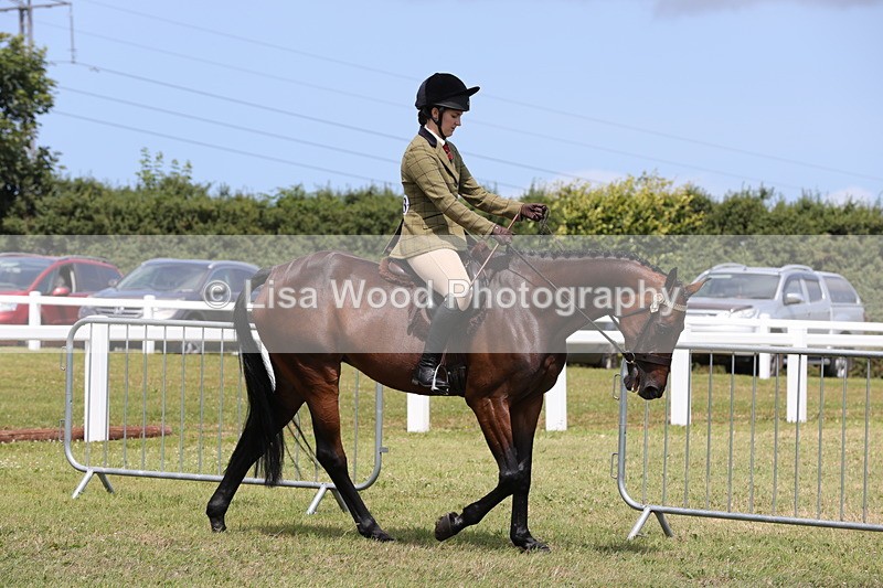 1X9A4280 - Class 34: Veteran Ridden