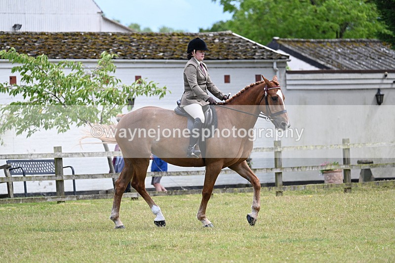 WJ7_9309 - Class 8 Ridden Veterans