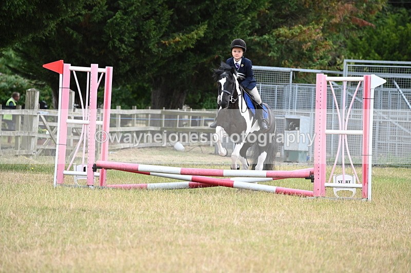 WJ6_9366 - Class 12 Minimus Jumping 45cm