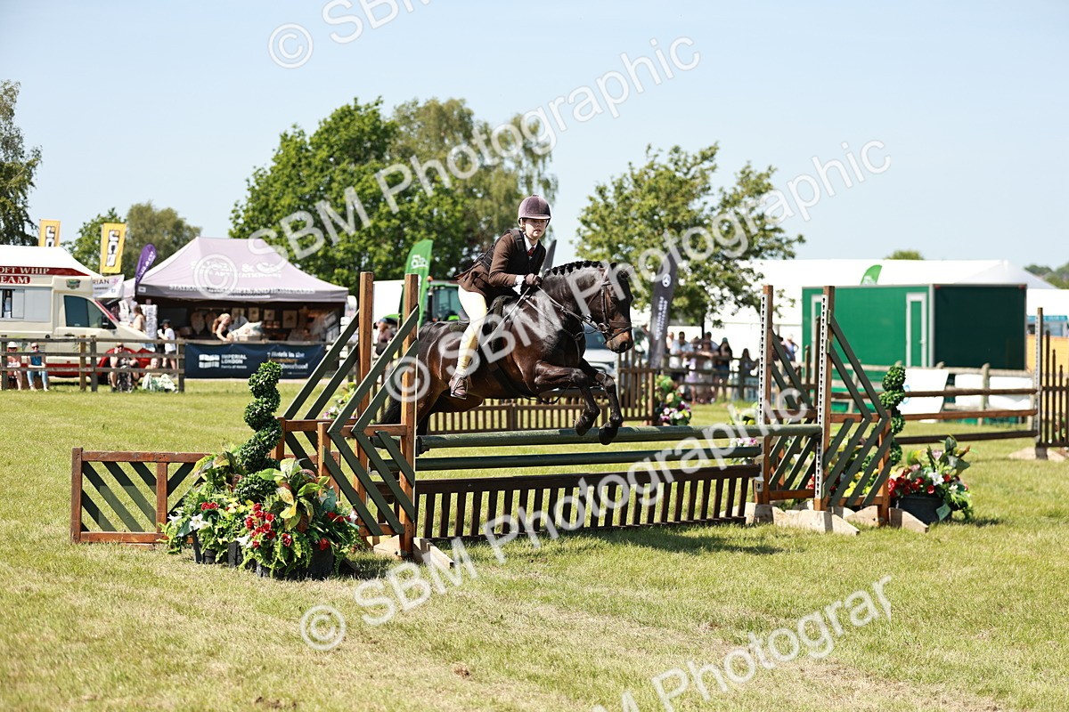 SBM_17638 - Class 112-113 - BSPS LIHS Working Sports Pony