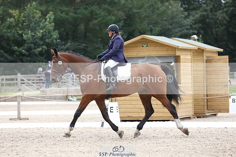 230812-120555-03927 - Cls 5 Novice Bronze 11.15 to 12.50 break