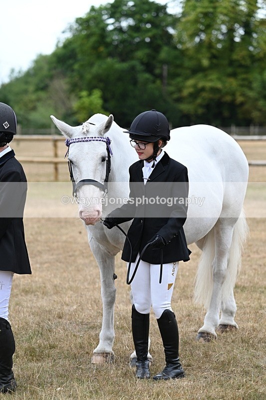 WJ7_9187 - Class 4a Prettiest Mare 14.2hh and over