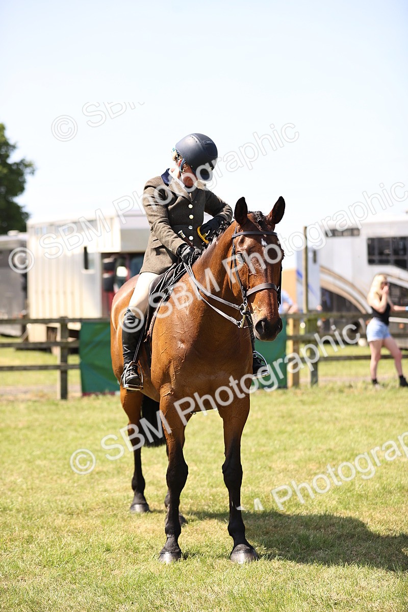 SBM_14989 - Class 78 - LIHS BSHA Open Racehorse & Show Horse