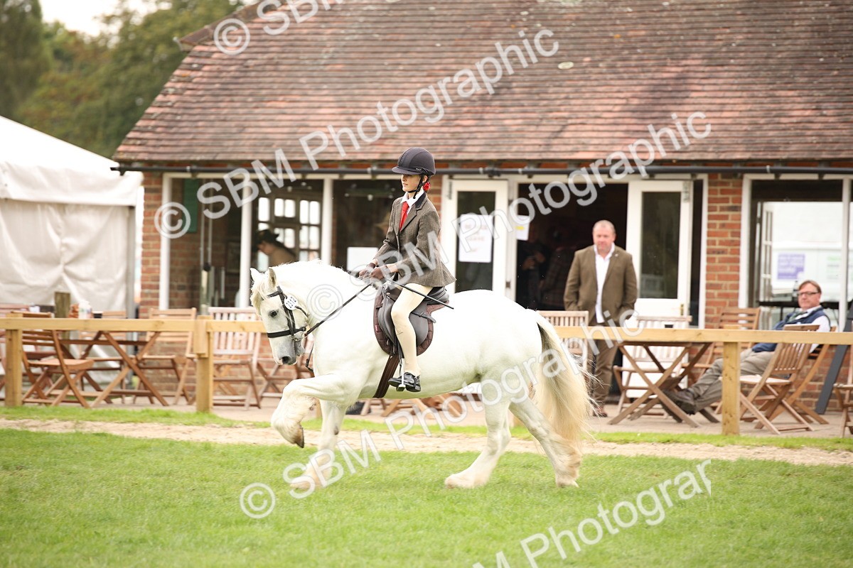 SBM_73534 - S68 - Traditional Cob Ridden