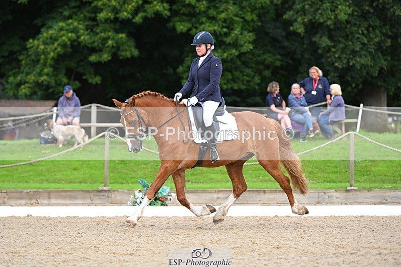 230813-094723-05955 - Cls 12 Elem Silver Start to 10.10 break