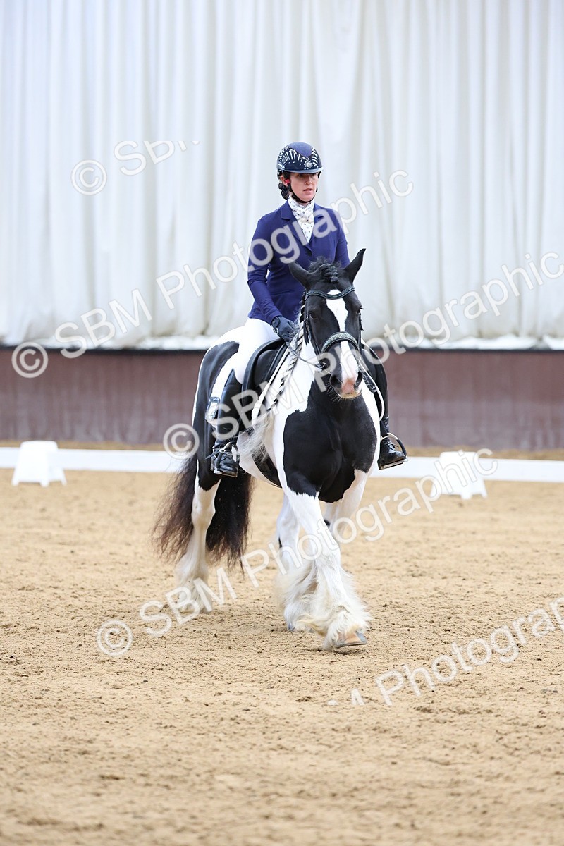 SBM_002277 - Novice 2