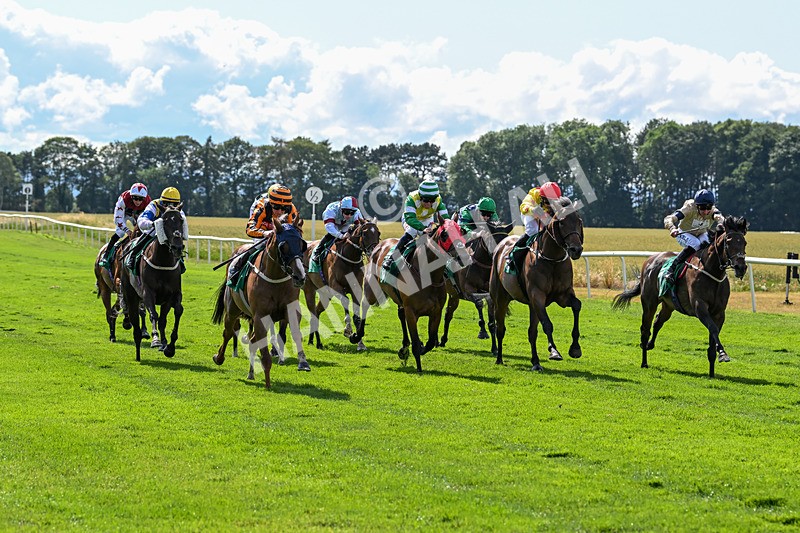 020725-Race 5-Mereside Madness-2581 - Race 5