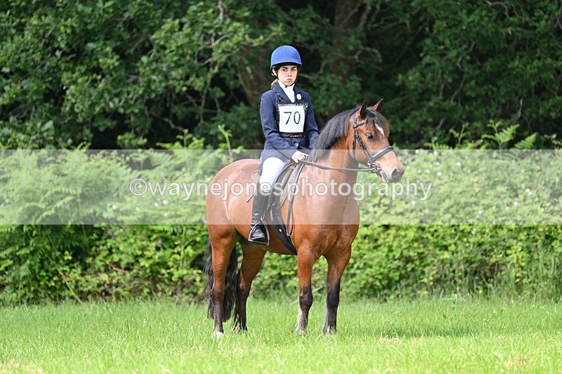 WJ7_1144 - Class 11 Condition & Turnout