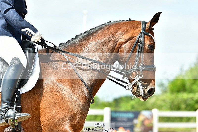 230702A-134804-10096 - Cls 31 Medium 69