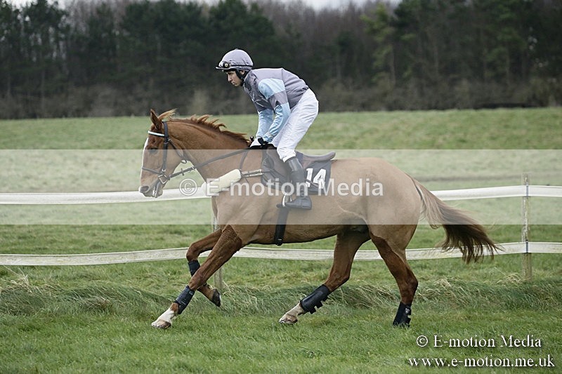 PtP 031217 418 - Hursley Hambledon Point-to-Point Larkhill 03/12/17
