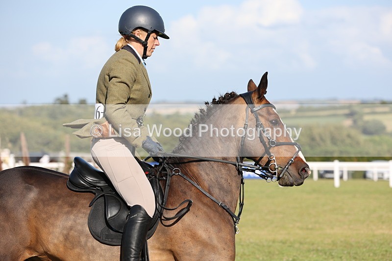 JPP_3134 - Class 21: Working Hunter 80cm