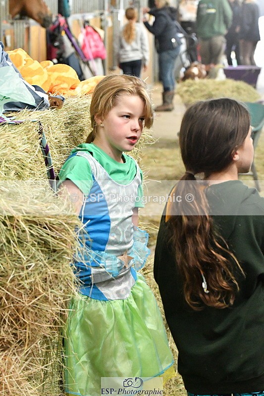 230804A-094254-01509 - Stable Shots